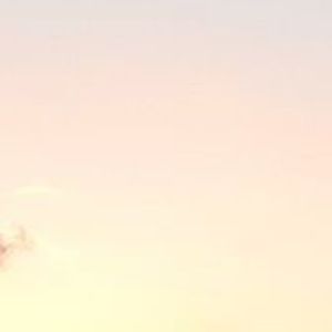 Meet your Posher, Sofia